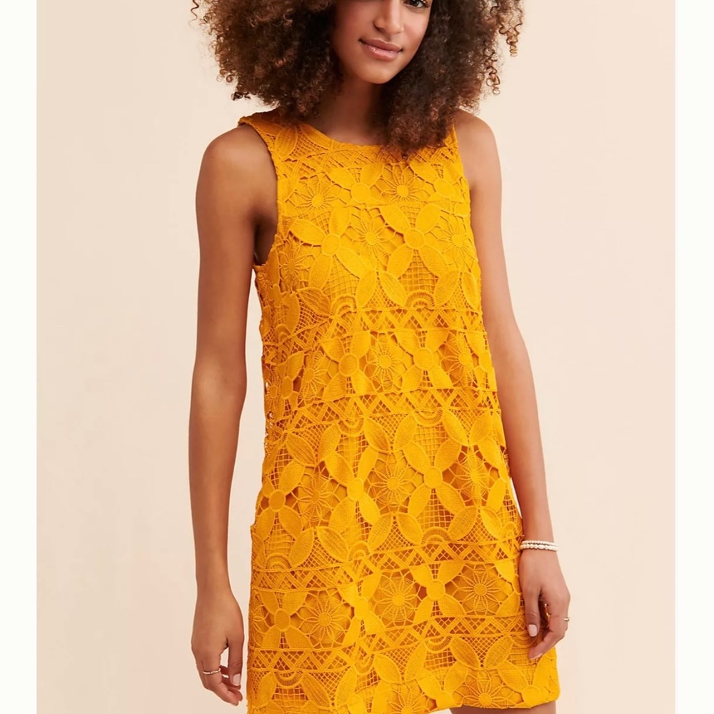 Anthropologie lace dress